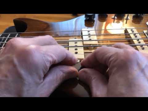 A - ThumbRocker - the original P-Bass split-coil pickup thumb rest